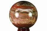 Colorful Petrified Wood Sphere - Madagascar #163372-1